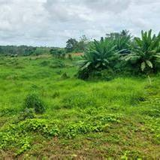 UAT Lami Heights